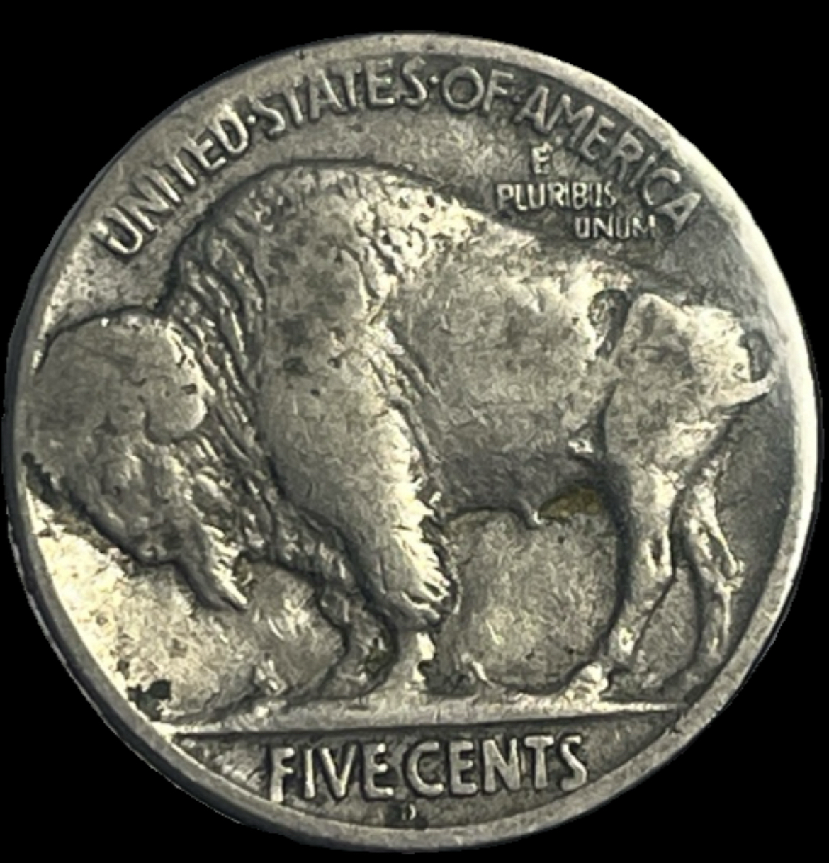 1924-D Buffalo Nickel