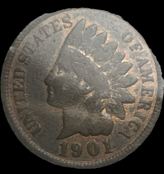 1901 Indian Head Cent