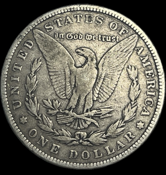 1882 Morgan Dollar